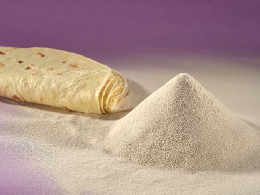 Tortilla Ekmeği Geliştiricisi